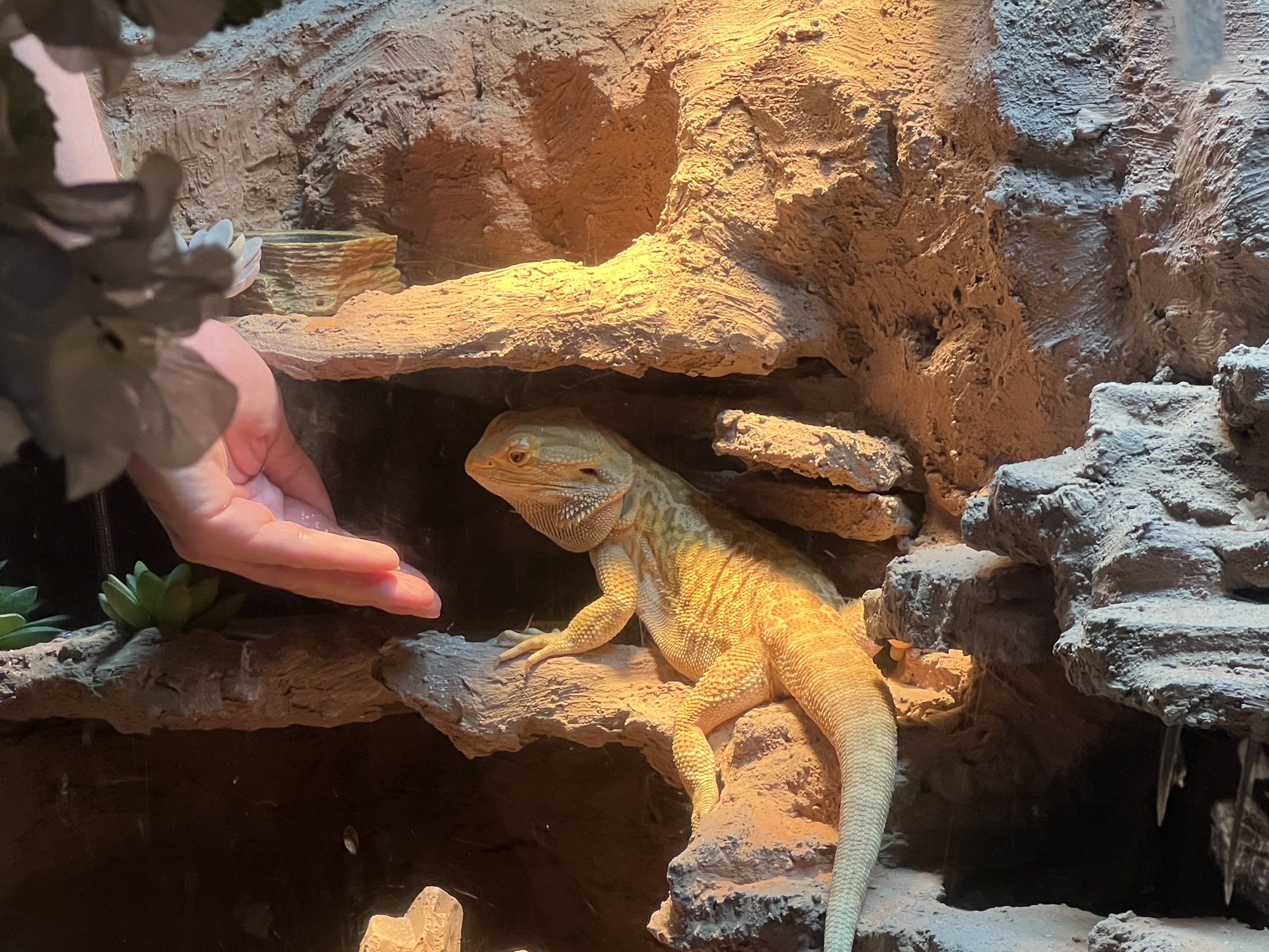 ./2024/10 - Myrtle Beach/IMG_3150.jpg